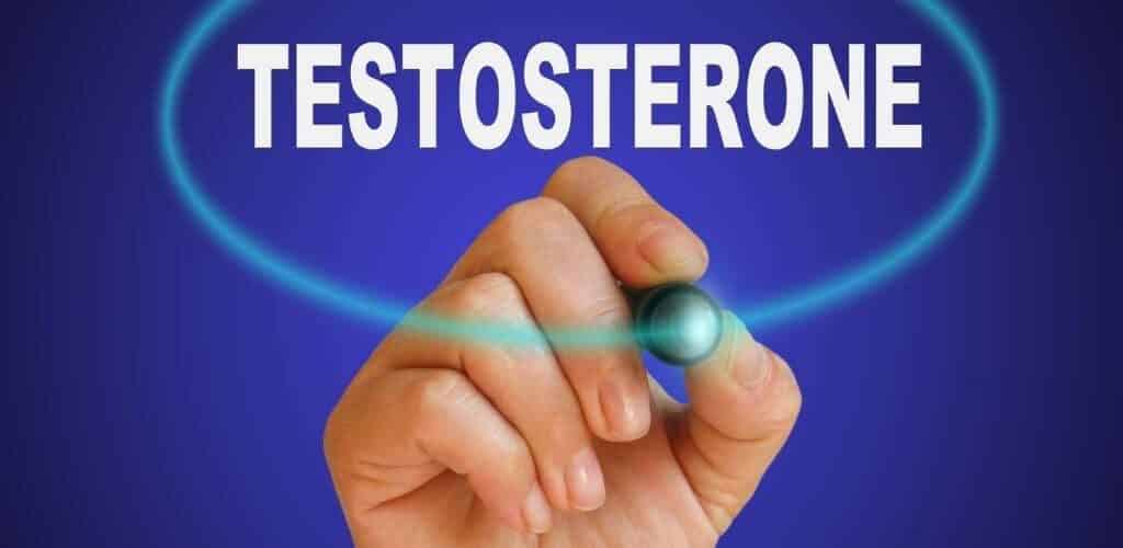 What Foods Kill Your Testosterone Reproductive Health Tech Project 2697